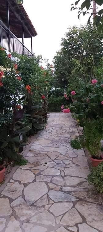Bousounis Apartment