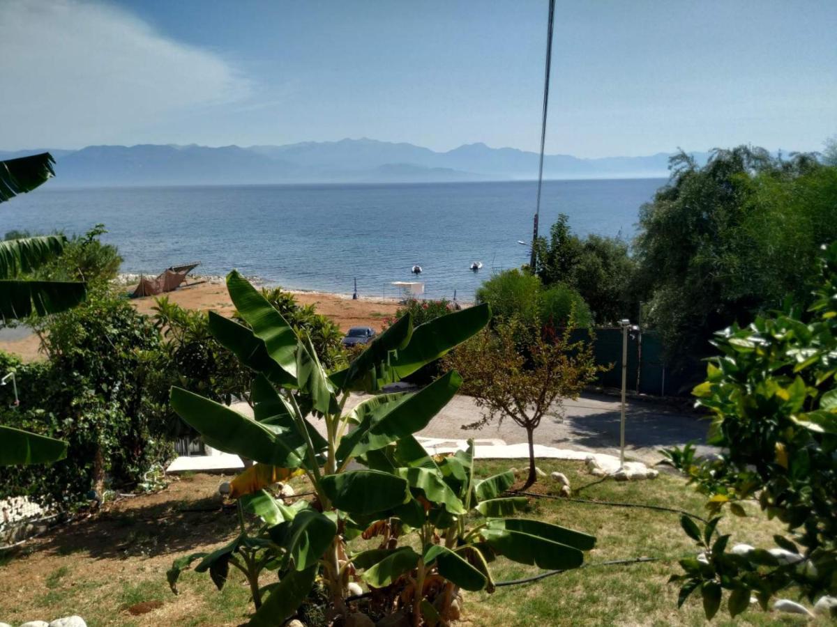 Apartment Bousounis Chrani